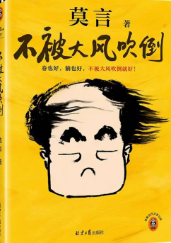 不被大风吹倒.png
